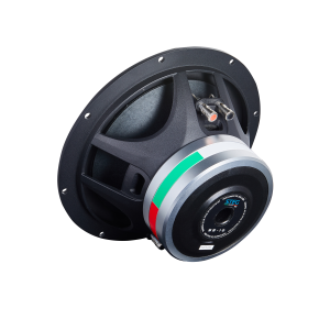 Steg SS-10 - 10" Subwoofer Enhed - Image 3