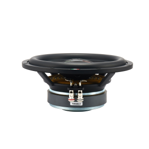 Steg ST10 - 10" Subwoofer - Image 2
