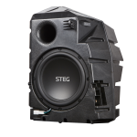 Steg