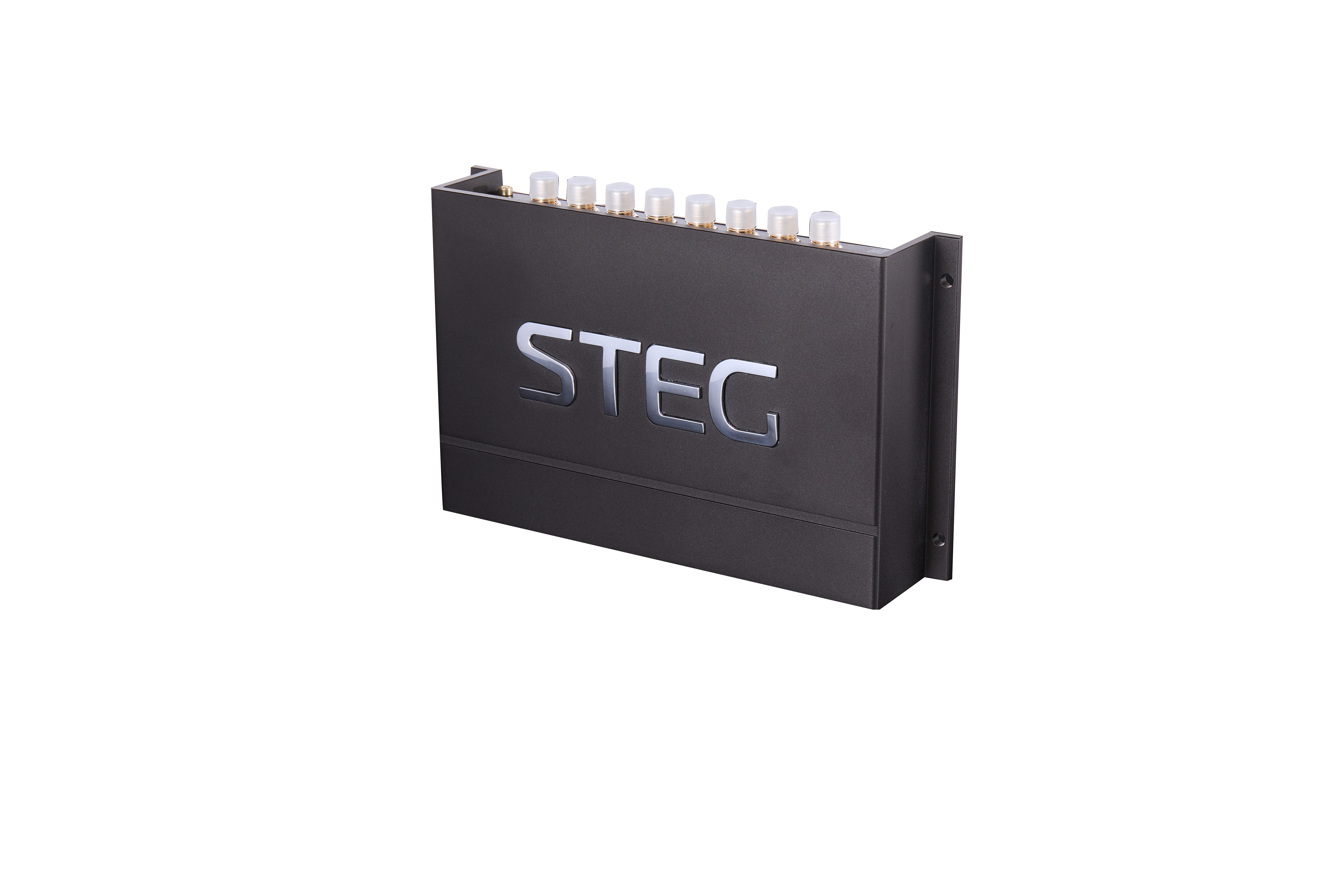 Steg