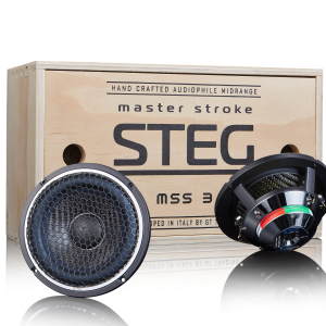 Steg