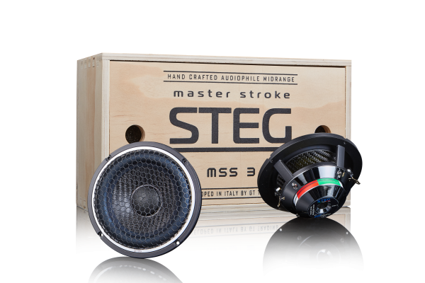 Steg